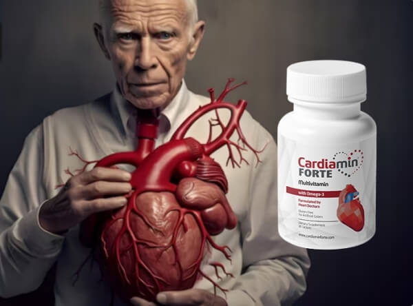 İçerik ve Bileşenler