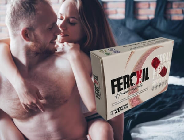 İçerik ve Bileşenler