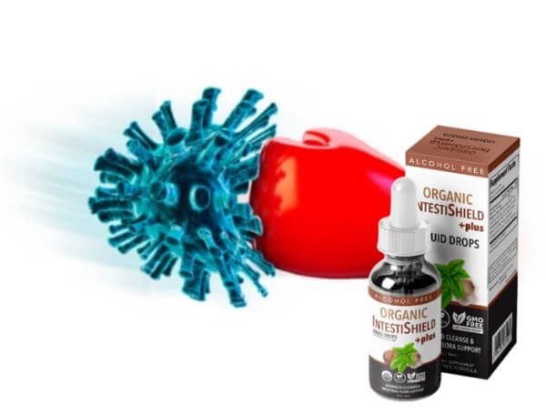 IntestiShield Plus Fiyatı ve Türkiye