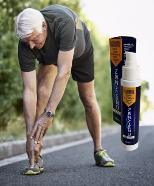 İçerik ve Bileşenler İçerik ve Bileşenler