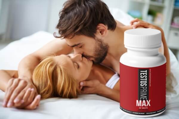 İçerik ve Bileşenler