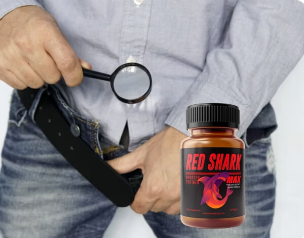 Red Shark Fiyatı ve Türkiye